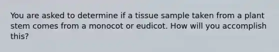 You are asked to determine if a tissue sample taken from a plant stem comes from a monocot or eudicot. How will you accomplish this?