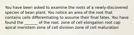 You have been asked to examine the roots of a newly-discovered species of bean plant. You notice an area of the root that contains cells differentiating to assume their final fates. You have found the _______ of the root. zone of cell elongation root cap apical meristem zone of cell division zone of cell maturation