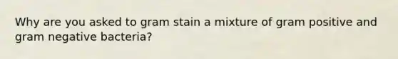 Why are you asked to gram stain a mixture of gram positive and gram negative bacteria?