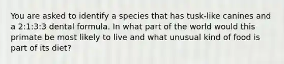 You are asked to identify a species that has tusk-like canines and a 2:1:3:3 dental formula. In what part of the world would this primate be most likely to live and what unusual kind of food is part of its diet?