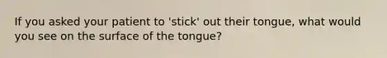 If you asked your patient to 'stick' out their tongue, what would you see on the surface of the tongue?