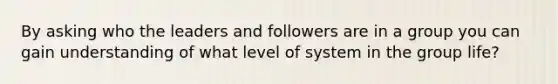 By asking who the leaders and followers are in a group you can gain understanding of what level of system in the group life?