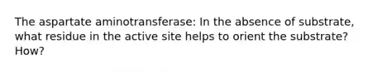 The aspartate aminotransferase: In the absence of substrate, what residue in the active site helps to orient the substrate? How?