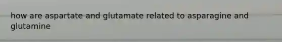 how are aspartate and glutamate related to asparagine and glutamine