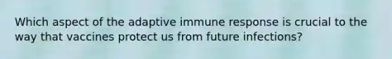 Which aspect of the adaptive immune response is crucial to the way that vaccines protect us from future infections?