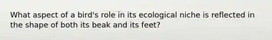 What aspect of a bird's role in its ecological niche is reflected in the shape of both its beak and its feet?