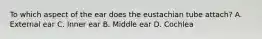 To which aspect of the ear does the eustachian tube attach? A. External ear C. Inner ear B. Middle ear D. Cochlea