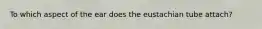 To which aspect of the ear does the eustachian tube attach?