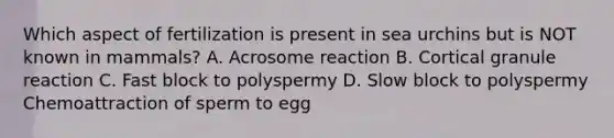 Which aspect of fertilization is present in sea urchins but is NOT known in mammals? A. Acrosome reaction B. Cortical granule reaction C. Fast block to polyspermy D. Slow block to polyspermy Chemoattraction of sperm to egg