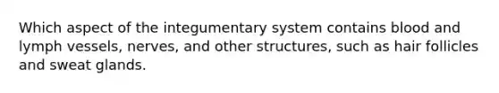 Which aspect of the integumentary system contains blood and lymph vessels, nerves, and other structures, such as hair follicles and sweat glands.