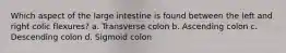 Which aspect of the large intestine is found between the left and right colic flexures? a. Transverse colon b. Ascending colon c. Descending colon d. Sigmoid colon