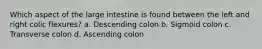 Which aspect of the large intestine is found between the left and right colic flexures? a. Descending colon b. Sigmoid colon c. Transverse colon d. Ascending colon