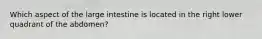 Which aspect of the large intestine is located in the right lower quadrant of the abdomen?
