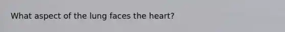 What aspect of the lung faces the heart?