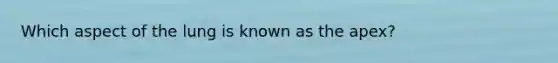 Which aspect of the lung is known as the apex?