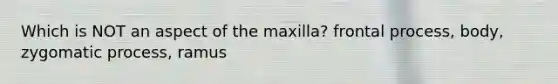 Which is NOT an aspect of the maxilla? frontal process, body, zygomatic process, ramus