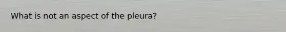 What is not an aspect of the pleura?