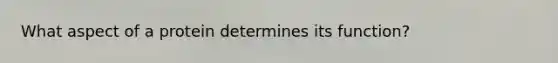 What aspect of a protein determines its function?