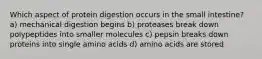 Which aspect of protein digestion occurs in the small intestine? a) mechanical digestion begins b) proteases break down polypeptides into smaller molecules c) pepsin breaks down proteins into single amino acids d) amino acids are stored