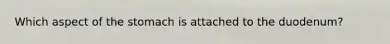 Which aspect of the stomach is attached to the duodenum?