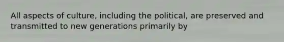 All aspects of culture, including the political, are preserved and transmitted to new generations primarily by