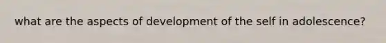 what are the aspects of development of the self in adolescence?