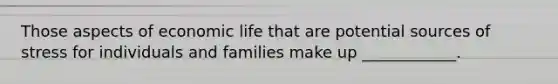 Those aspects of economic life that are potential sources of stress for individuals and families make up ____________.