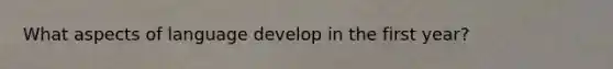 What aspects of language develop in the first year?