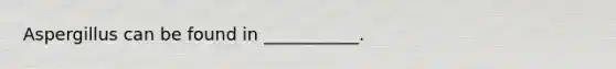 Aspergillus can be found in ___________.