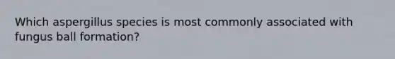 Which aspergillus species is most commonly associated with fungus ball formation?