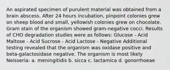 An aspirated specimen of purulent material was obtained from a brain abscess. After 24 hours incubation, pinpoint colonies grew on sheep blood and small, yellowish colonies grew on chocolate. Gram stain of the organism showed gram-negative cocci. Results of CHO degradation studies were as follows: Glucose - Acid Maltose - Acid Sucrose - Acid Lactose - Negative Additional testing revealed that the organism was oxidase positive and beta-galactosidase negative. The organism is most likely Neisseria: a. meningitidis b. sicca c. lactamica d. gonorrhoeae