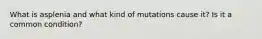 What is asplenia and what kind of mutations cause it? Is it a common condition?