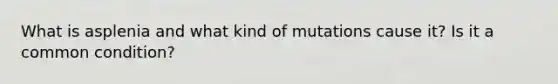 What is asplenia and what kind of mutations cause it? Is it a common condition?
