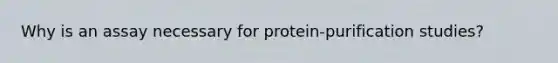 Why is an assay necessary for protein-purification studies?