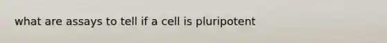 what are assays to tell if a cell is pluripotent