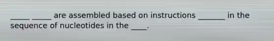 _____ _____ are assembled based on instructions _______ in the sequence of nucleotides in the ____.