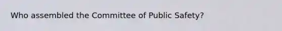 Who assembled the Committee of Public Safety?