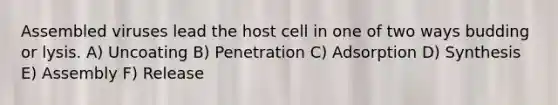 Assembled viruses lead the host cell in one of two ways budding or lysis. A) Uncoating B) Penetration C) Adsorption D) Synthesis E) Assembly F) Release