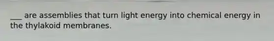 ___ are assemblies that turn light energy into chemical energy in the thylakoid membranes.