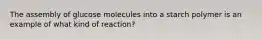 The assembly of glucose molecules into a starch polymer is an example of what kind of reaction?