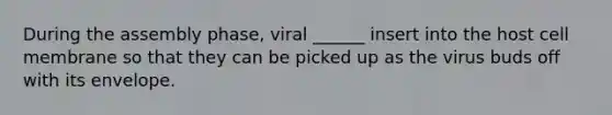 During the assembly phase, viral ______ insert into the host cell membrane so that they can be picked up as the virus buds off with its envelope.