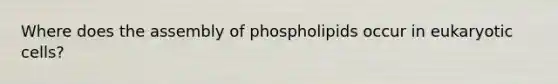 Where does the assembly of phospholipids occur in eukaryotic cells?