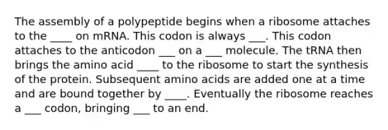 The assembly of a polypeptide begins when a ribosome attaches to the ____ on mRNA. This codon is always ___. This codon attaches to the anticodon ___ on a ___ molecule. The tRNA then brings the amino acid ____ to the ribosome to start the synthesis of the protein. Subsequent amino acids are added one at a time and are bound together by ____. Eventually the ribosome reaches a ___ codon, bringing ___ to an end.