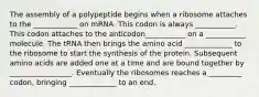 The assembly of a polypeptide begins when a ribosome attaches to the ____________ on mRNA. This codon is always ___________. This codon attaches to the anticodon___________ on a ___________ molecule. The tRNA then brings the amino acid _____________ to the ribosome to start the synthesis of the protein. Subsequent amino acids are added one at a time and are bound together by _________________. Eventually the ribosomes reaches a _________ codon, bringing _____________ to an end.