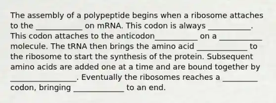 The assembly of a polypeptide begins when a ribosome attaches to the ____________ on mRNA. This codon is always ___________. This codon attaches to the anticodon___________ on a ___________ molecule. The tRNA then brings the amino acid _____________ to the ribosome to start the synthesis of the protein. Subsequent amino acids are added one at a time and are bound together by _________________. Eventually the ribosomes reaches a _________ codon, bringing _____________ to an end.