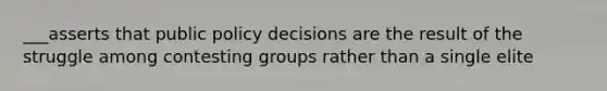 ___asserts that public policy decisions are the result of the struggle among contesting groups rather than a single elite