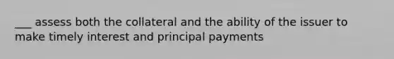 ___ assess both the collateral and the ability of the issuer to make timely interest and principal payments