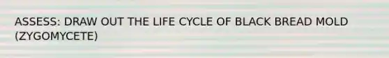 ASSESS: DRAW OUT THE LIFE CYCLE OF BLACK BREAD MOLD (ZYGOMYCETE)