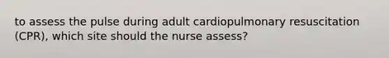 to assess the pulse during adult cardiopulmonary resuscitation (CPR), which site should the nurse assess?