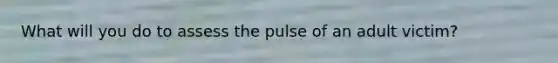 What will you do to assess the pulse of an adult victim?